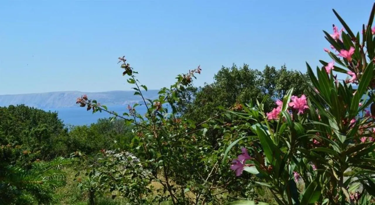 Apartments Tina Novi Vinodolski Croatia